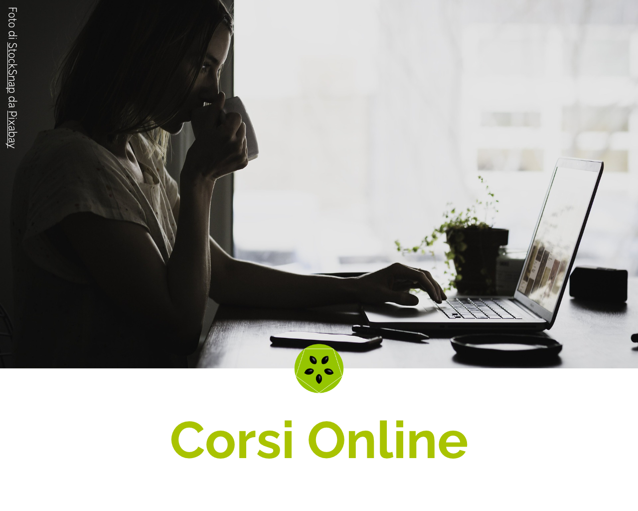 corsi online